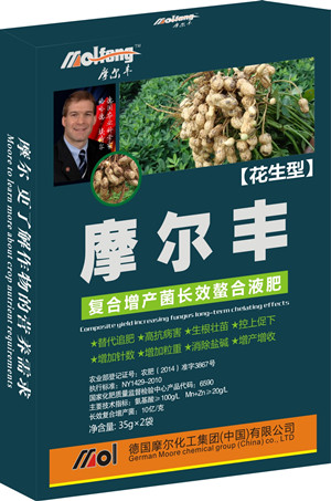 �����~���