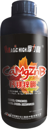 �Ǵ��}�V�\��