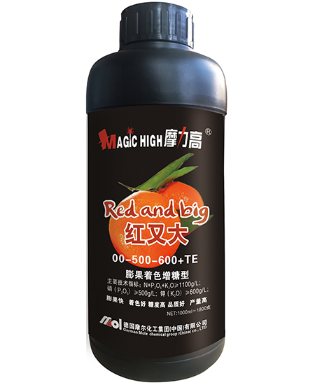 �t�ִ�(00-500-600+TE)