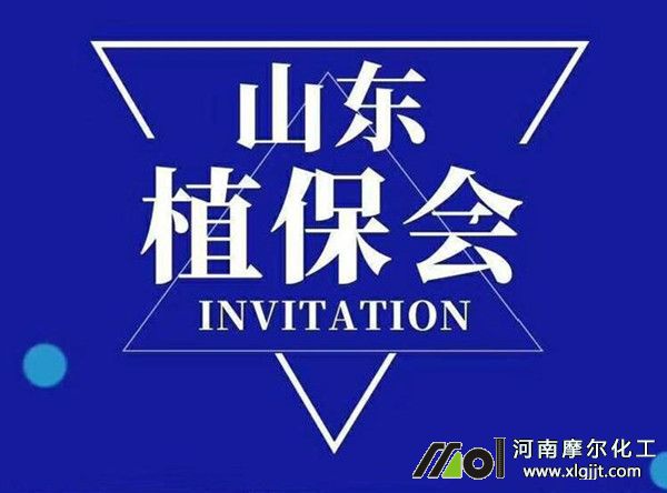 2020ɽ�|ֲ����(hu��)Ħ������